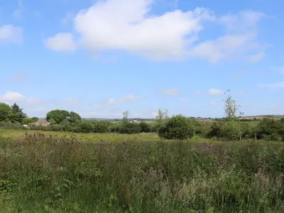 a field of tall grass with a blue sky and clouds at The Dairy in Helston