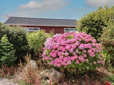 a bush of pink flowers in front of a house at Trevone - Chalet 130 in Padstow