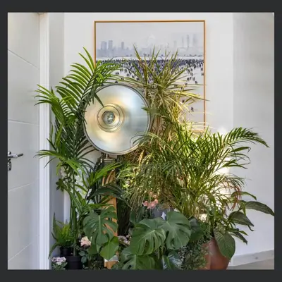 a bunch of plants in a room with a mirror at Uno St Ives - Boutique Luxury Accommodation in St Ives