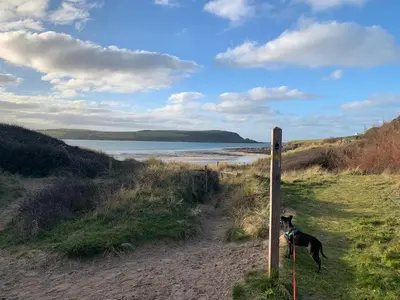 a dog standing next to a pole on a beach at The Hannexe in Wadebridge