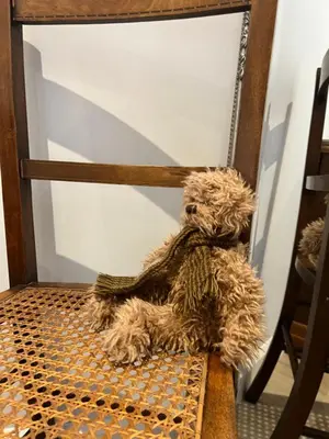a brown teddy bear sitting on a chair at The Hannexe in Wadebridge