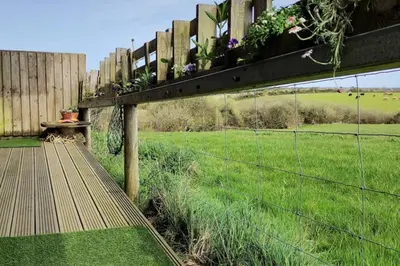a fence with plants on it next to a field at The Bolt Hole in St Merryn
