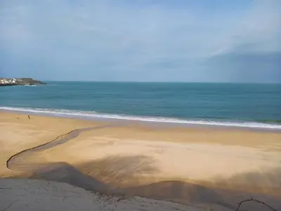 a shadow of a palm tree on a beach at Stargazy Shepherds Hut in St Ives