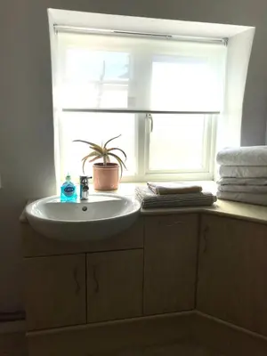 a bathroom with a sink and a window with a plant at The Barn at Well Cottage in Bude