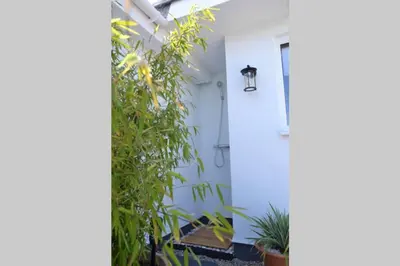 a white door with plants in front of it at Pebbles - A relaxing King Studio in St Ives