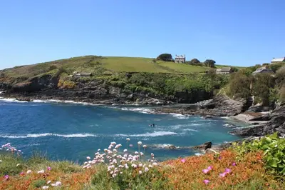 a beach with people in the water and flowers at Little Chyryn Perranuthnoe in Perranuthnoe
