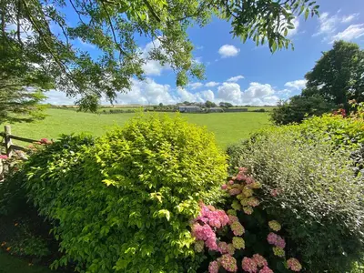 a garden with bushes and flowers in a field at Swallow Cottage in Port Isaac