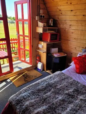 a bedroom with a bed with a microwave and a window at Glamping Pod in St Austell Sleeps 2 with Spa Pool in St Austell
