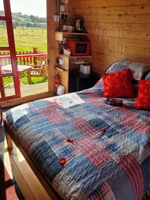a bed in a log cabin with a view of a field at Glamping Pod in St Austell Sleeps 2 with Spa Pool in St Austell