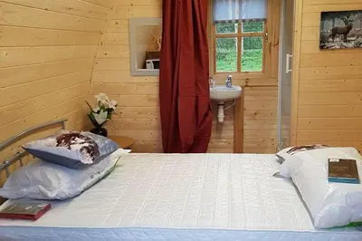 a bedroom with a bed and a sink in a room at Cozy Cabin Retreat in Saint Austell in Lanivet