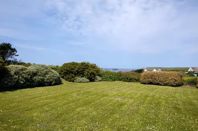 a large grassy field with trees and bushes at Trebartha in Polzeath