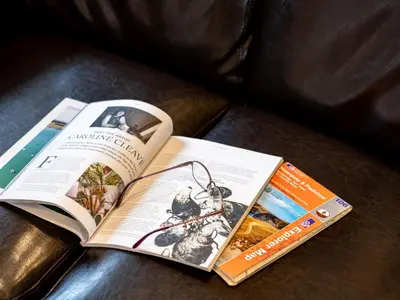 an open book sitting on a leather couch at Stable Cottage in Port Isaac
