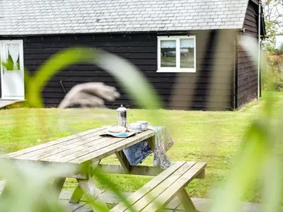 a picnic table with a kettle on it in a yard at Puffin Lodge in Port Isaac