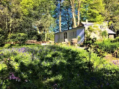 a house in the middle of a field of flowers at Wodehouse in Falmouth