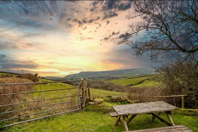 a wooden bench sitting in the grass near a fence at Polrunny Farm Seaberry Cottage with a sea view and log burner in Boscastle