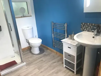 a blue bathroom with a toilet and a sink at Kingfisher Glamping Cabin in Bodmin