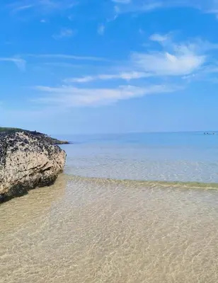 a view of a beach with rocks and the ocean at Toms Hut and Robins Rest Shepherd Huts near Wadebridge in Wadebridge