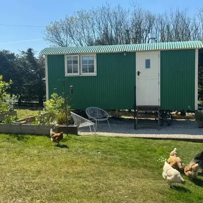 Toms Hut and Robins Rest Shepherd Huts near Wadebridge