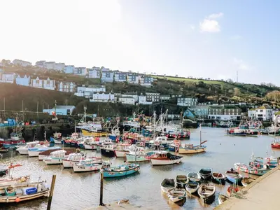 a bunch of boats are docked in a harbor at The Old Bark House No 3 in Mevagissey