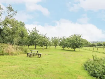 a picnic table in the middle of a field with trees at South Boduel Farmhouse in Liskeard