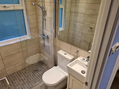 a bathroom with a toilet and a shower and a sink at Pebble Cottage in Uny Lelant