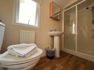 a bathroom with a toilet and a sink and a shower at Contemporary Caravan at Newquay Holiday Park in Newquay