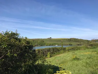 a river in the middle of a grassy field at Amazing 2-bedroom apartment with lovely sea views in Newquay