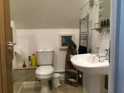 a bathroom with a toilet and a sink at Cherrywood Lodge in Looe