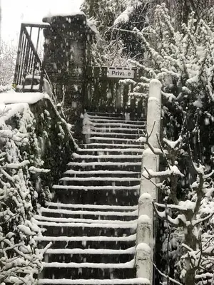 a set of stairs covered in snow at Spring Garden Cottage in Wadebridge