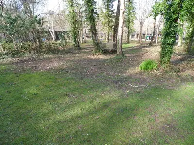 a park with trees and a bench in the grass at Seaside Escape in St Ives