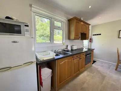 a kitchen with a white refrigerator and a sink at Trevian - Mount Brioni in Downderry