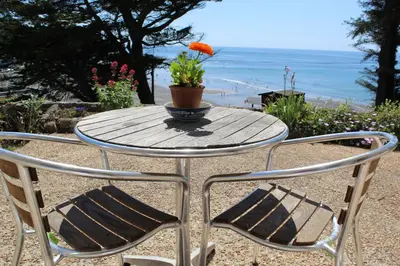 a table with a potted plant on top of it at Sand Bar - Mount Brioni in Downderry