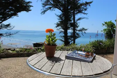 a table with a book and a plant on it at Sand Bar - Mount Brioni in Downderry