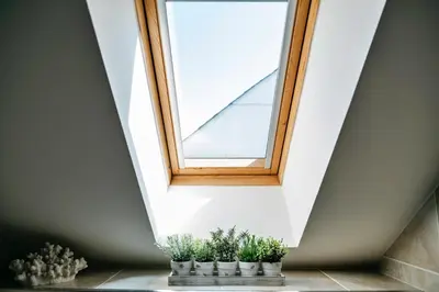 a skylight window in a room with potted plants at Finest Retreats - Tolcarne Stay - Luxury Newquay Apartment in Newquay