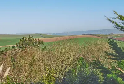 a view of a field with trees in the foreground at Treveth Lowen in Saint Minver