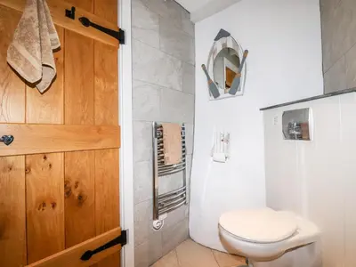 a bathroom with a toilet and a shower at Jonwyns in Tintagel