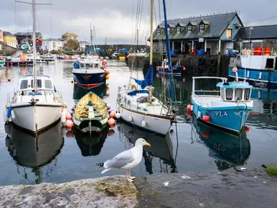 a seagull standing on a rock in a harbor with boats at Finest Retreats - Old Harbour Cottage in Mevagissey