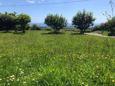 a field of grass with a bench and flowers at Miners Hut in St Austell
