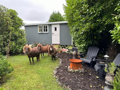 a group of horses standing in a yard at Miners Hut in St Austell