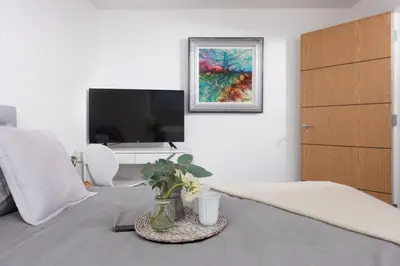 a bedroom with a bed with a television and a plant at Swanpool View - Walk to Beach - Free WiFi & Parking - Sea & Lake Views in Falmouth