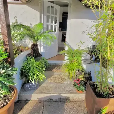 Idyllic Cornish Cottage
