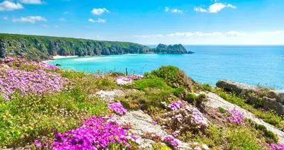 a view of a beach with pink flowers at Romantic log-burner Cornish Cottage private garden dogs welcome in Truro