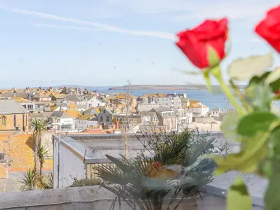 a view of a city with a red rose at Heron in St Ives