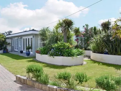 a house with some plants in a yard at Tamarisk House in Newquay