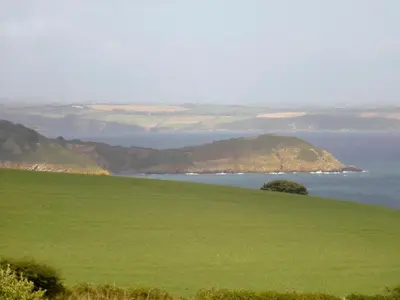 a green field with the ocean in the background at Camellia Cottage in Saint Ewe