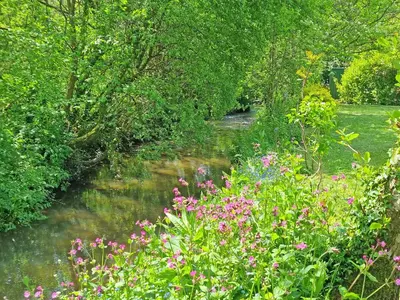 a stream with flowers and trees next to a field at Camellia Cottage in Saint Ewe