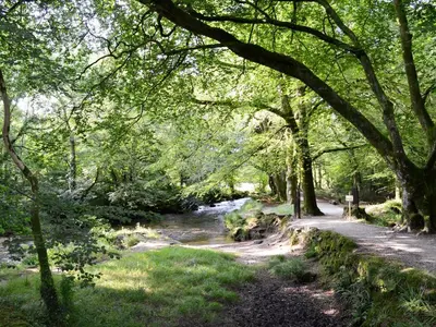 a path next to a river with trees at Trecarne Cottage in Saint Cleer