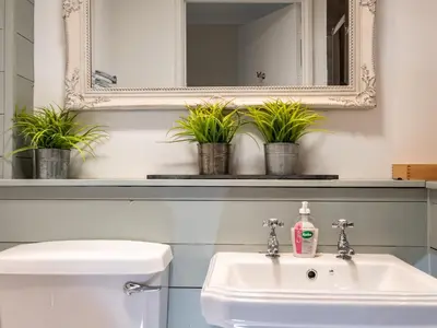 a bathroom with a sink and a mirror and plants at Croft Elms in Wadebridge