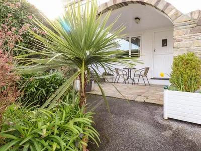 a palm tree in front of a house at EdyVean in St Austell