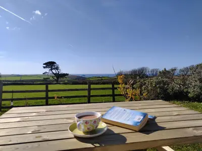 a book and a cup of coffee on a wooden table at Trevose, sea views in Port Isaac